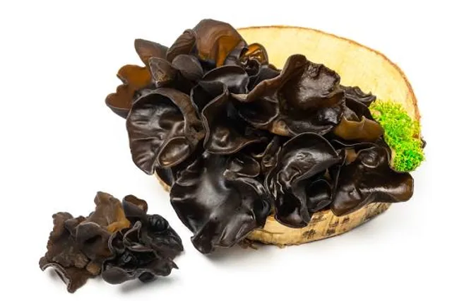 Muzeum Wnętrz w Otwocku Wielkim