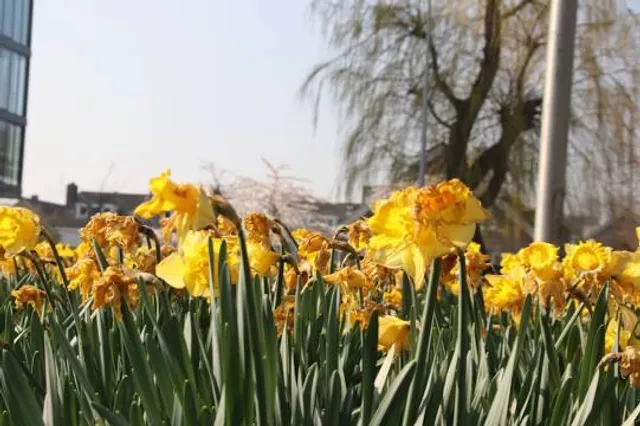 Museumshof der Stadt Bad Oeynhausen
