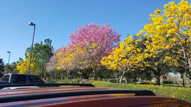 Recreation, Parks and Arts Administration