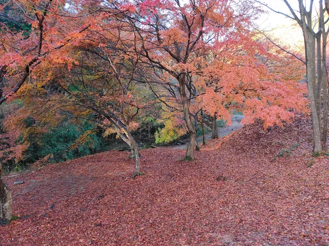 photo-1