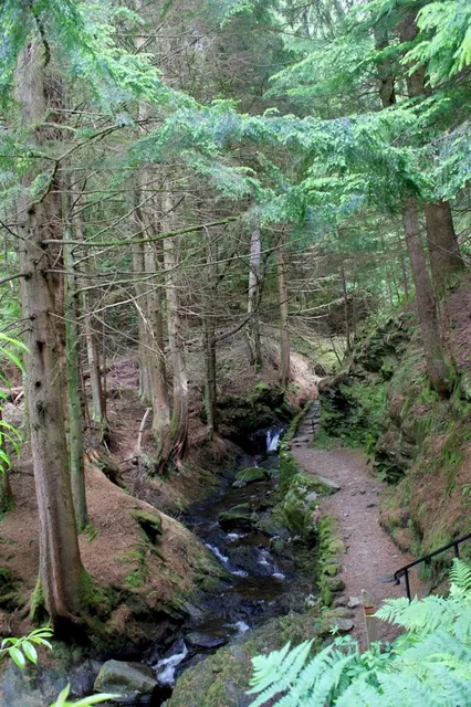 Puck's Glen