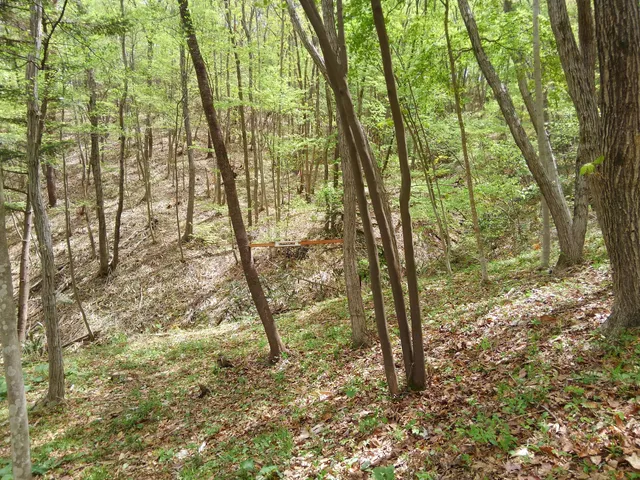 Aoba no Mori Ryokuchi Park