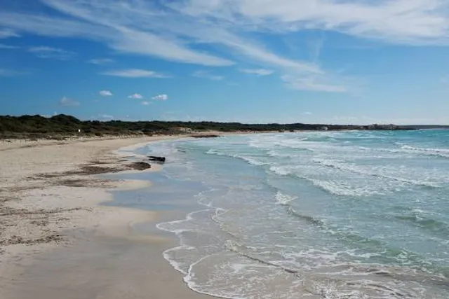 Arenal de sa Ràpita