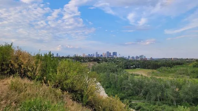 River Park Off Leash Dog Park