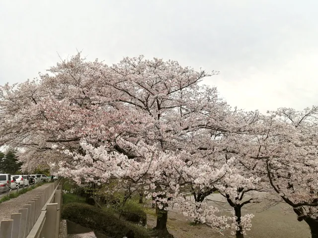 Shimomizokoyama Park