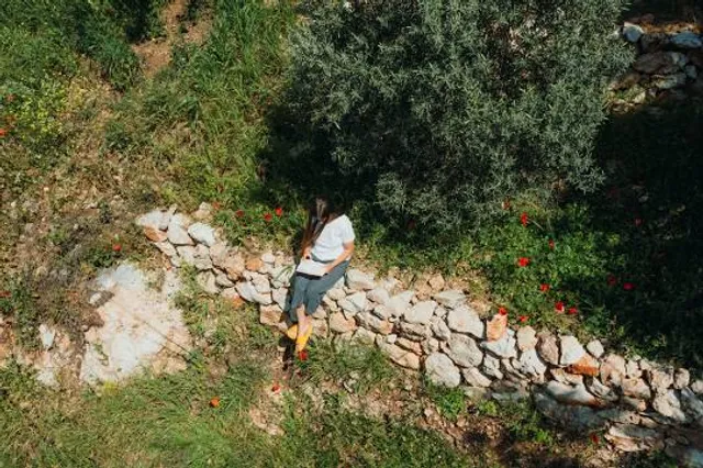 Villa di Lucio Mamurra