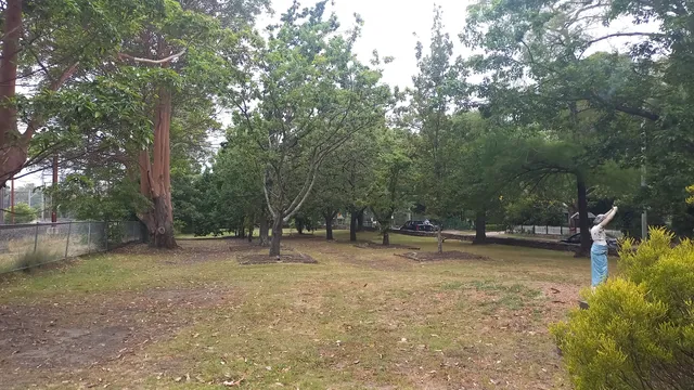 Corridor Of Oaks Park