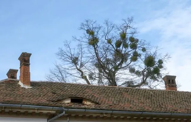 Ethnographic Museum Casa dos Açores