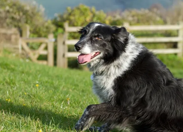 Retzer Nature Center