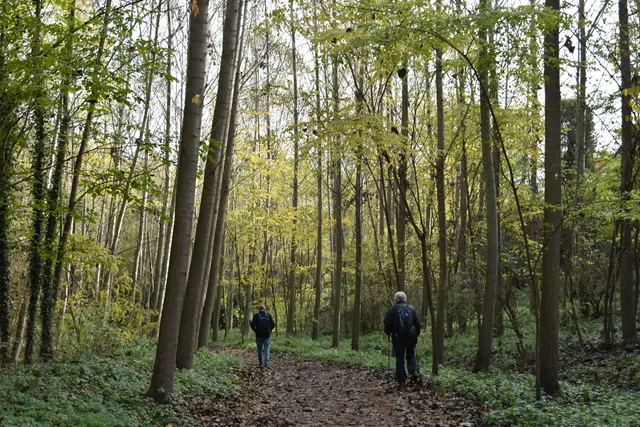 Ruta dels Molins de Calldetenes