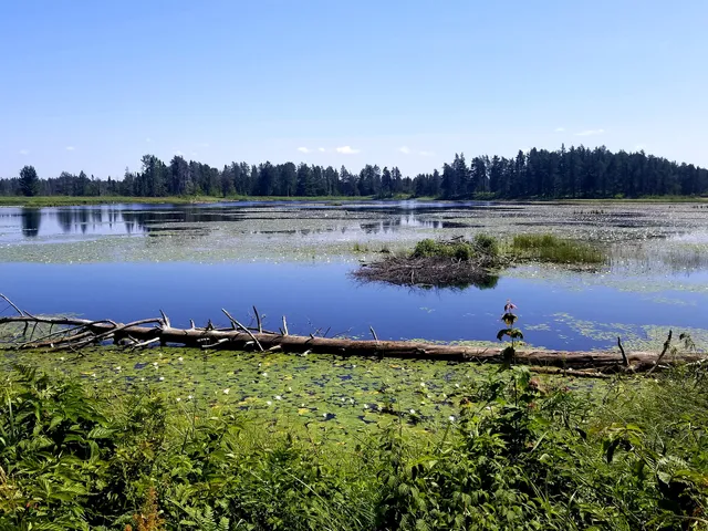 Seney National Wildlife Refuge