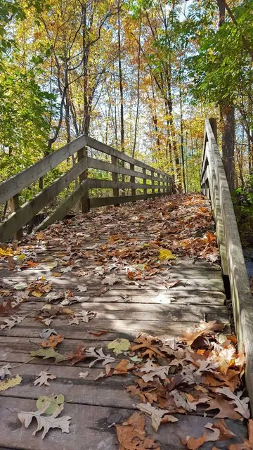 Dinosaur Hill Nature Preserve