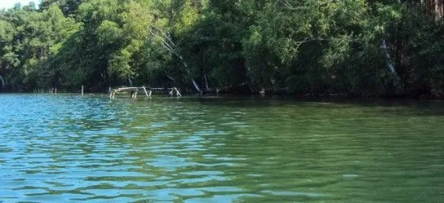 Jezioro Radziszewskie