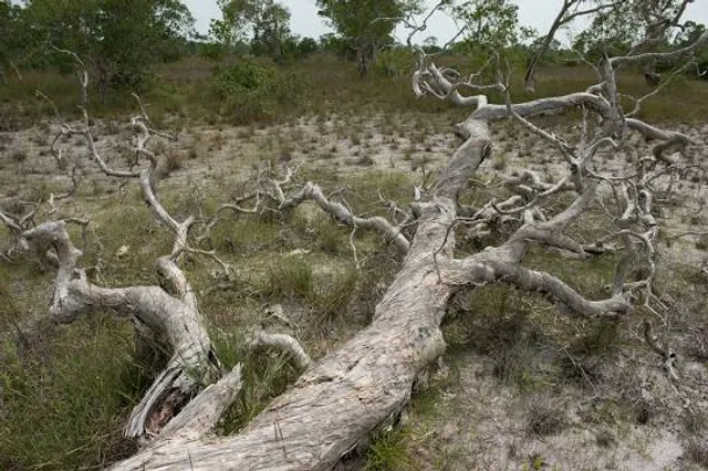 Walyunga National Park