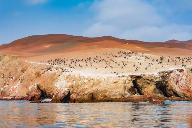 El Chaco Paracas
