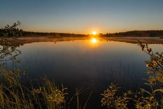 Øvre Pasvik nasjonalpark