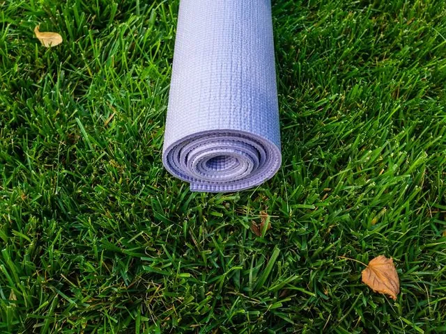 Beeldentuin de Zanderij