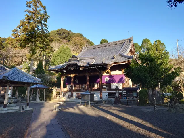 photo-1