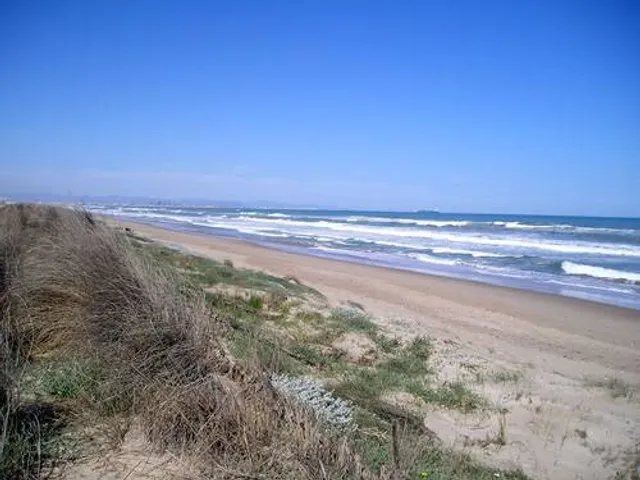 Platja de la Devesa del Saler