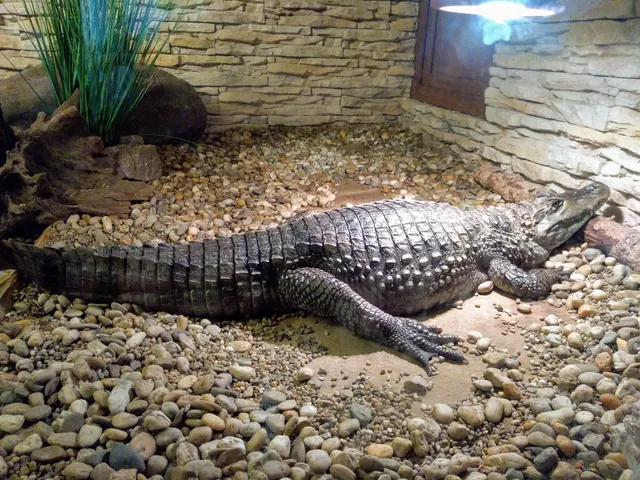 Zoologická záhrada - pavilón Aquaterra a zooshop