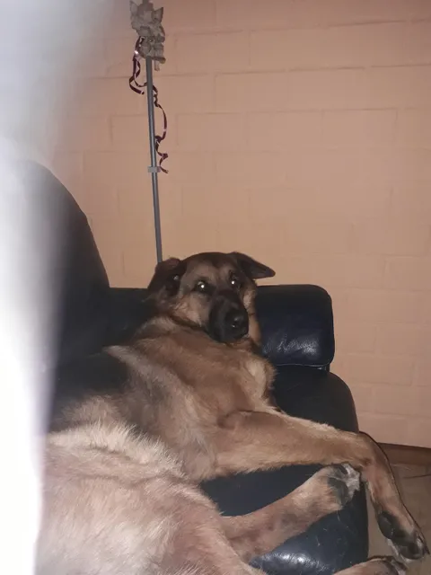 Poppenhuismuseum Alida's Kleine Wereldje