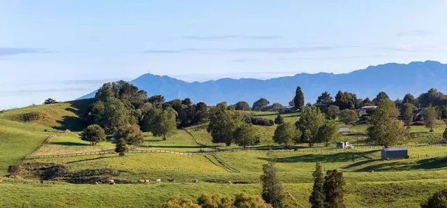 Mount Te Aroha Summit & Broadcast Tower
