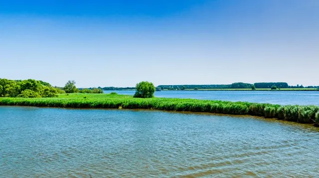 Hollandsche Biesbosch