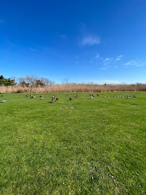 Ocean City Golf Course