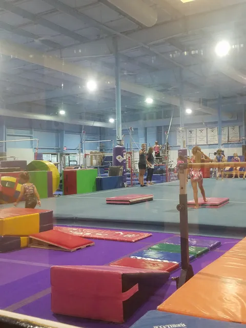 Action Gymnastics
