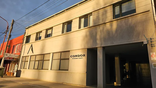 Condor Patagonia Aparts