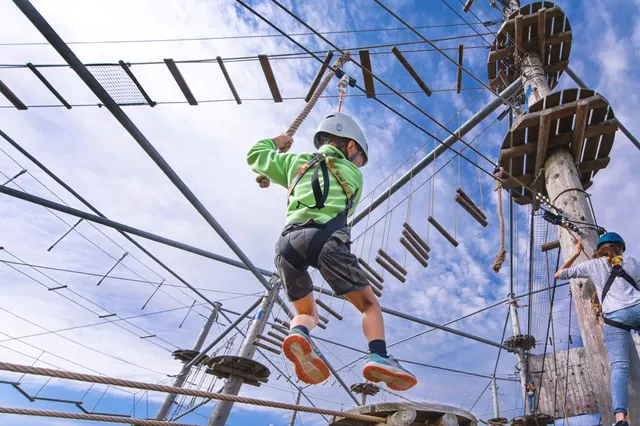 Climbing Park Biesbosch