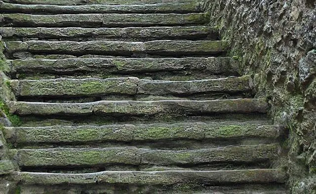 photo-1