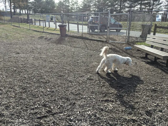 MonDaug Bark Park
