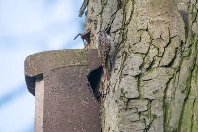 Aussichtspunkt Hinnewiederstein
