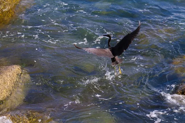 Costeirinha the beach