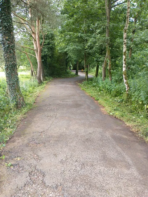 photo-1