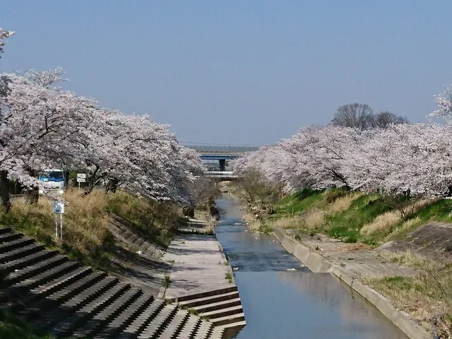 photo-2