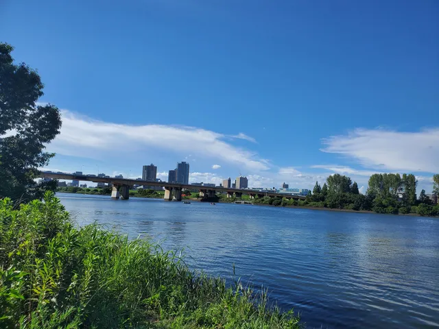 Shin-Arakawa Ōhashi Bridge