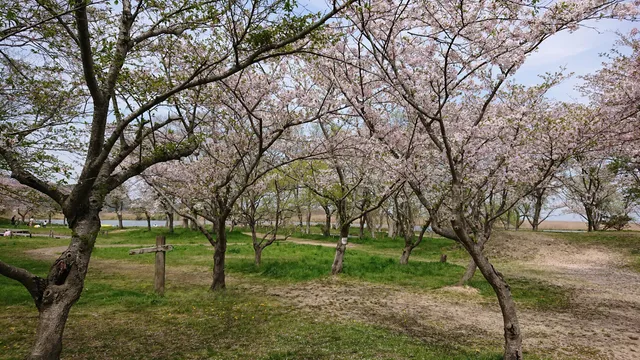 Nishinoko-enchi Park Resting Square