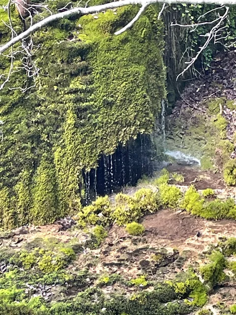 Tufière de Rolampont