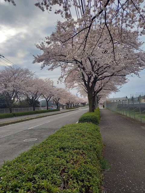 Kamiishigami Park