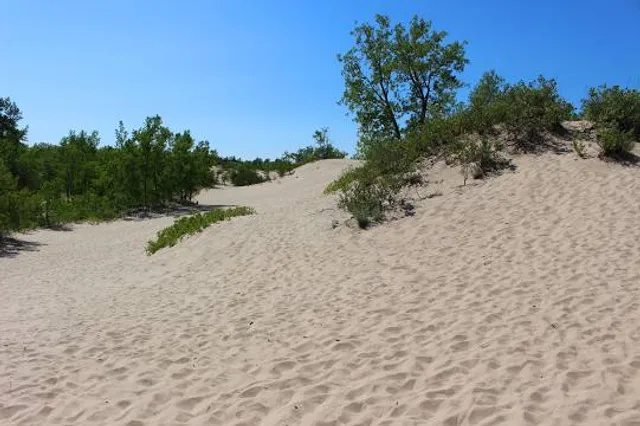 Dunes Beach Parking