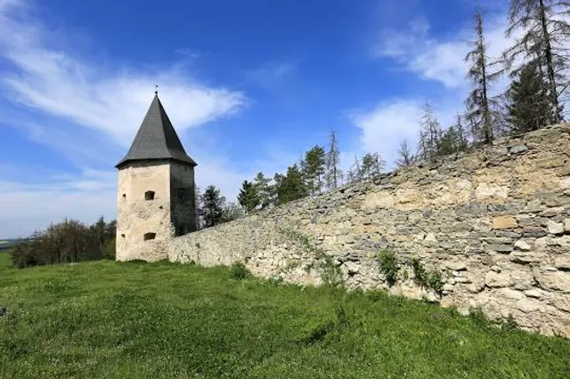 Kryvche Castle