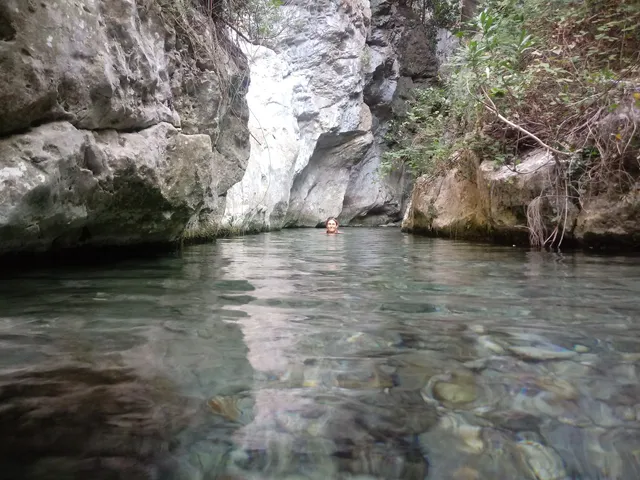 Sendero acuático Arroyo Bocaleones 39
