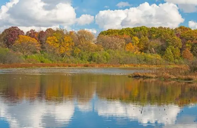 Volo Bog State Natural Area