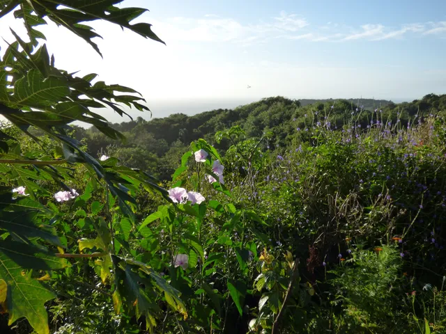 photo-2