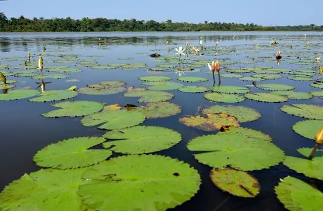 Cufada Lagoons Natural Park