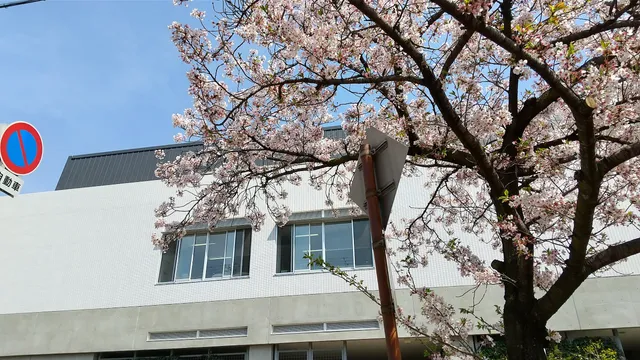 The Henomatsu Human Rights History Museum