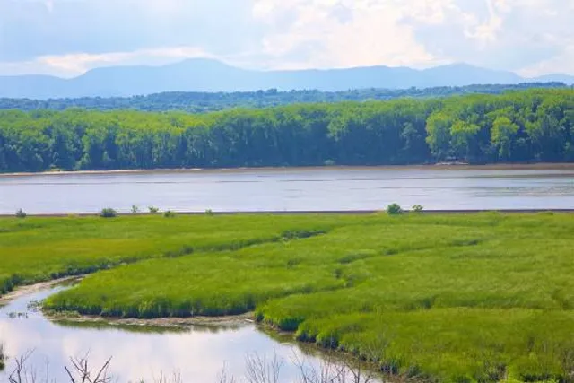 Greenport Conservation Area