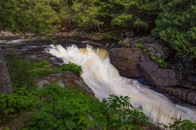 The Gut Conservation Area